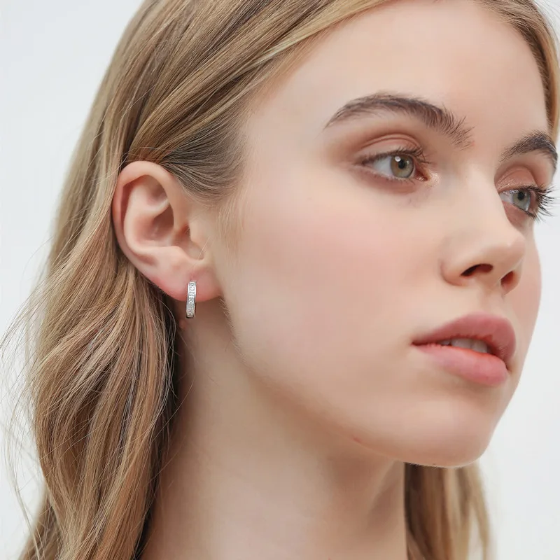 Sterling Silver Shining Zircon Earrings - Image 3